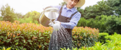 http://www.cathayeconomy.com/a/202107/infos30599.html